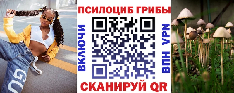 Купить где  Ступино  Псилоцибиновые грибы мухоморы 